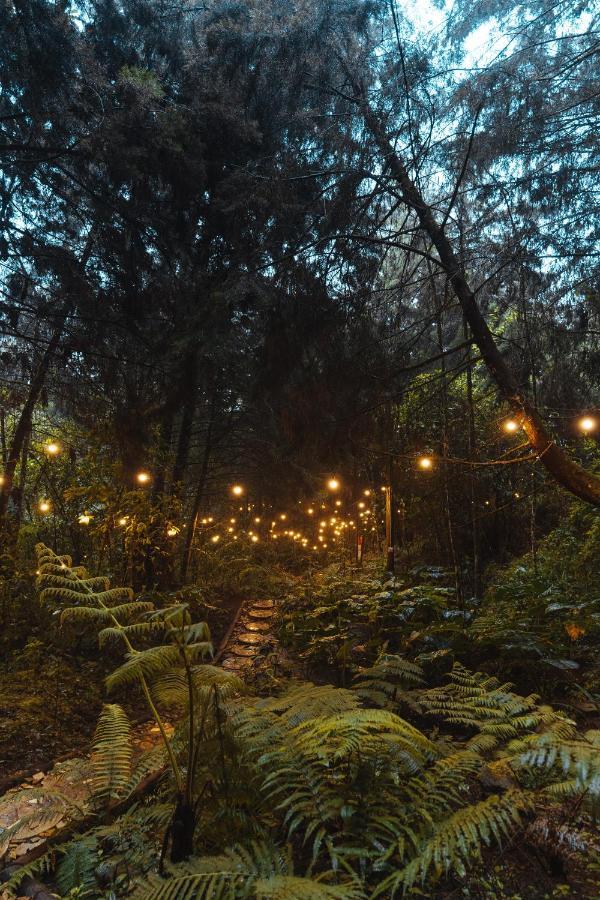 Oculto Refugio De Bosque Hotell Envigado Eksteriør bilde