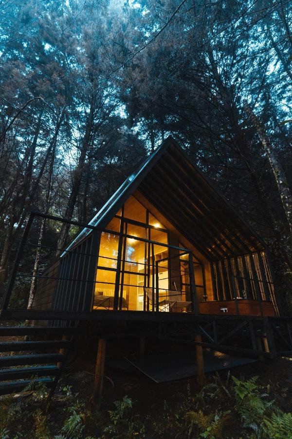 Oculto Refugio De Bosque Hotell Envigado Eksteriør bilde