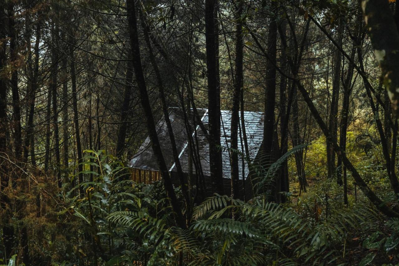 Oculto Refugio De Bosque Hotell Envigado Eksteriør bilde